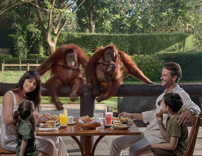 Breakfast with Orangutans and Elephant Wash: 39usd per car