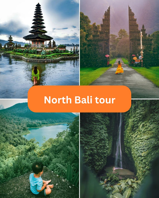 North Bali Tour: 55usd per car
