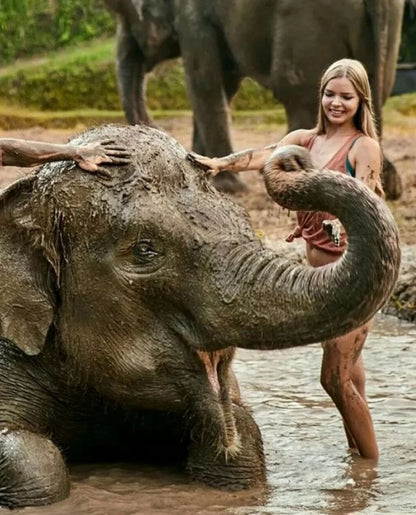 Elephant wash and Ubud Tour: 39usd per car