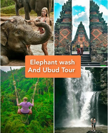 Elephant wash and Ubud Tour: 39usd per car