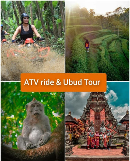 Atv Jungle Ride and Ubud Tour: 39usd per car