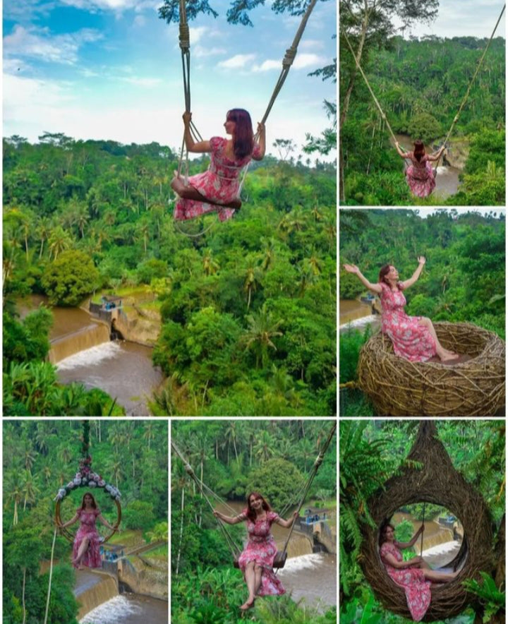 Jungle Swing and North Bali Tour: 55usd per car