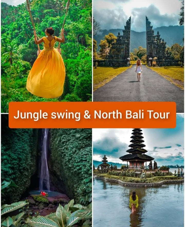 Jungle Swing and North Bali Tour: 55usd per car