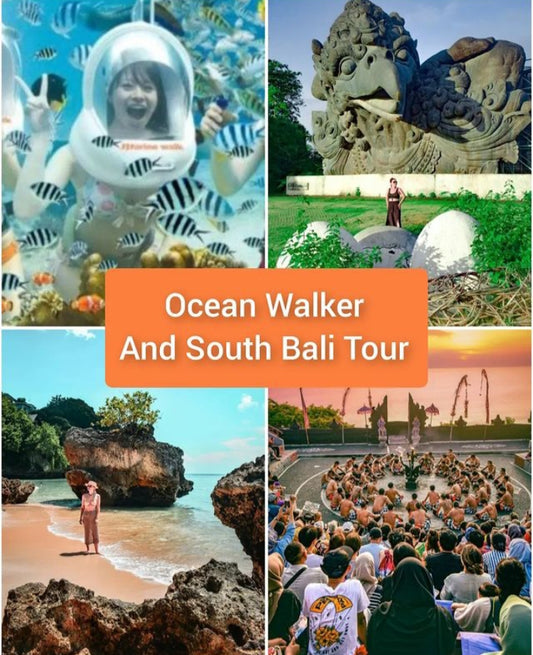 Ocean walker Walker and South Bali Tour: 55usd per car