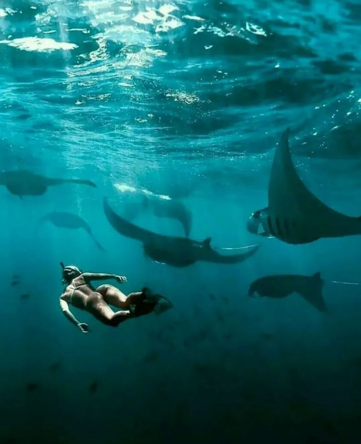 Nusa Penida  west tour and Snorkeling with Manta Rays: 98usd per person